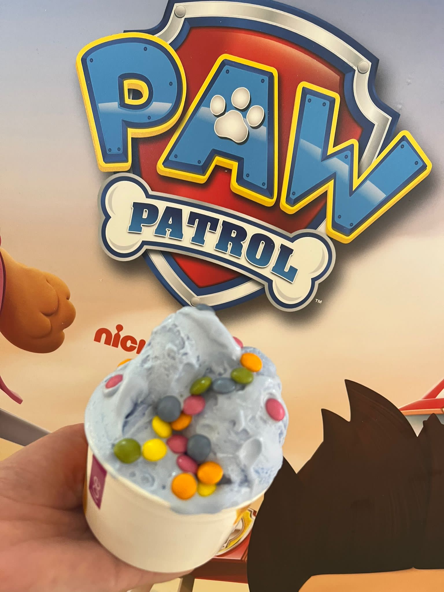paw Patrol